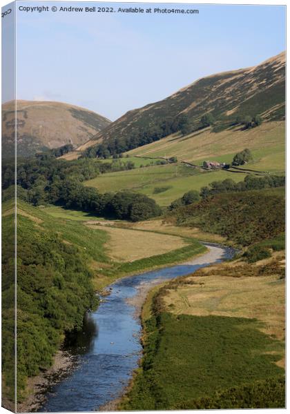 Lune Gorge, Cumbria Canvas Print by Andrew Bell