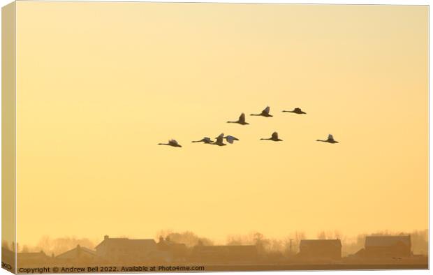 Wedge of Swans Canvas Print by Andrew Bell