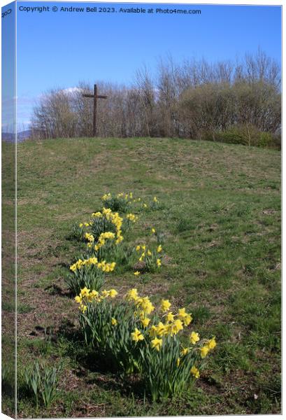 Easter Cross daffodils Canvas Print by Andrew Bell