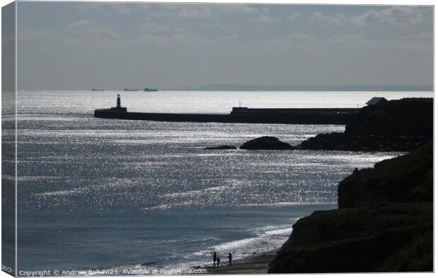 North Sea silhouettes Seaham Canvas Print by Andrew Bell