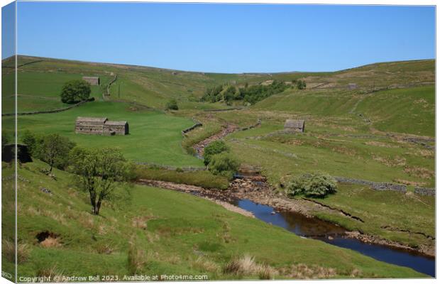 Serene Swaledale Canvas Print by Andrew Bell