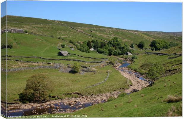 Verdant Swaledale Canvas Print by Andrew Bell