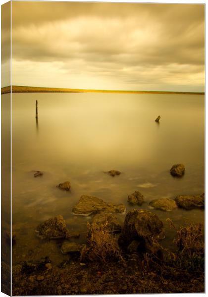 Nature reserve Canvas Print by Laurynas  Miskinis