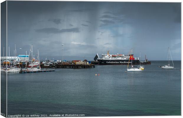 Mallaig Harbour Canvas Print by Liz Withey