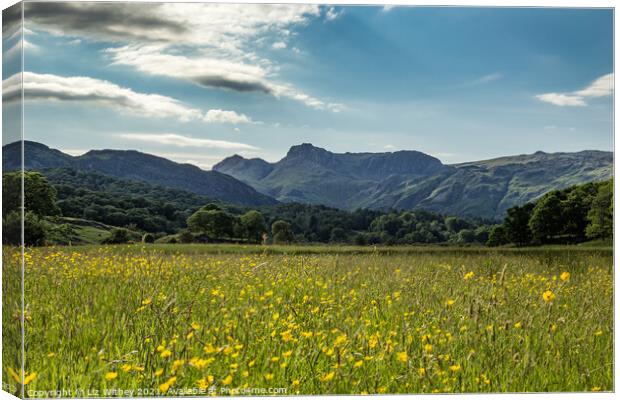 Langdale Pikes  Canvas Print by Liz Withey