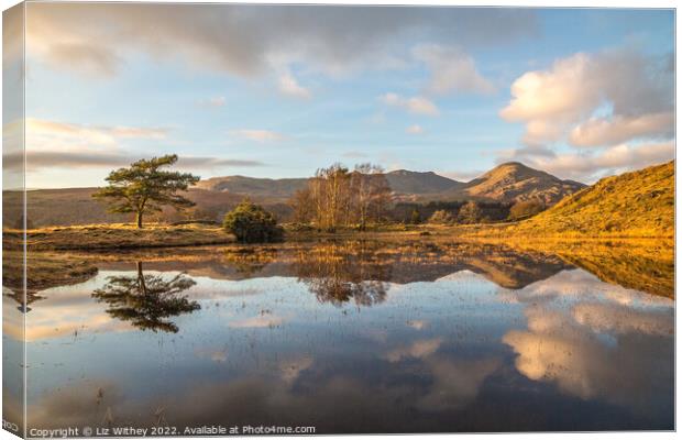 Reflections, Kelly Hall Tarn Canvas Print by Liz Withey