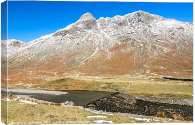 Pike of Stickle and Mickleden Dam Canvas Print by Liz Withey