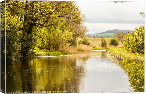 Lancaster Canal Canvas Print by Liz Withey
