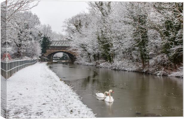 Lancaster Canal, Carnforth Canvas Print by Liz Withey