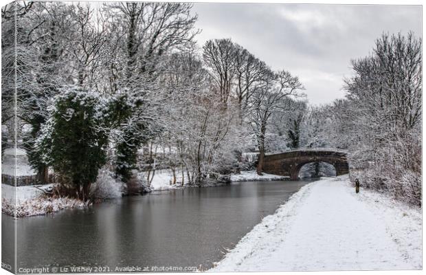 Lancaster Canal in Winter Canvas Print by Liz Withey