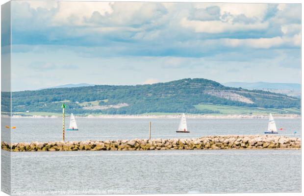 Sailing, Morecambe Bay Canvas Print by Liz Withey