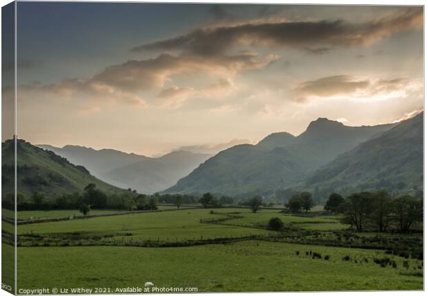 Evening in Langdale Canvas Print by Liz Withey