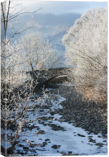Middlefell Bridge in Winter Canvas Print by Liz Withey