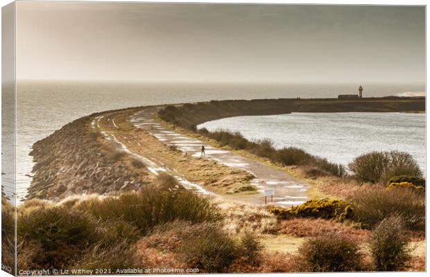 The Outer Wall, Hodbarrow, Millom Canvas Print by Liz Withey