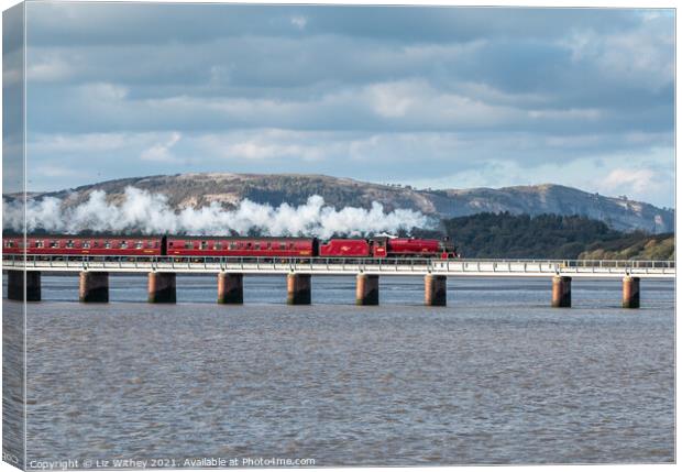 45699 Galatea, Arnside Viaduct Canvas Print by Liz Withey