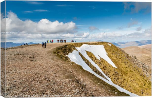 Helvellyn Summit Canvas Print by Liz Withey