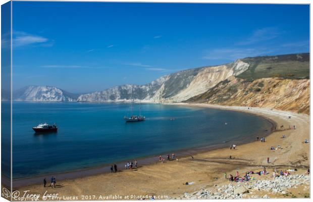 Worbarrow Bay Canvas Print by Terry Lucas