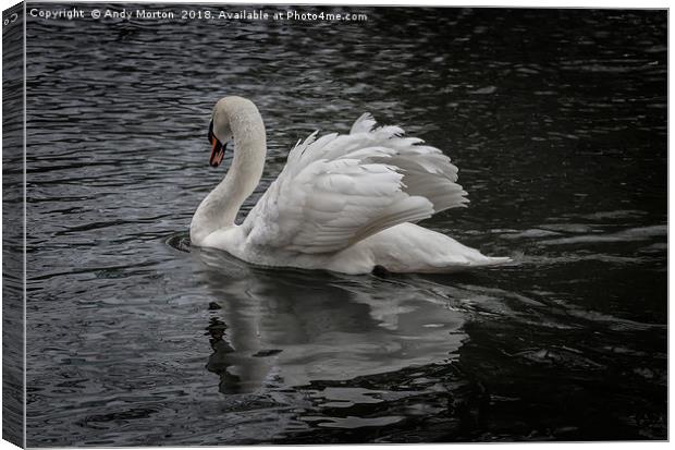White Swan On The River In Leicester Canvas Print by Andy Morton