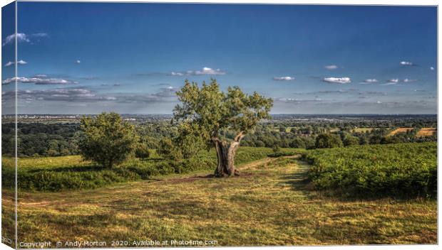 View Leicester From Bradgate Park Canvas Print by Andy Morton