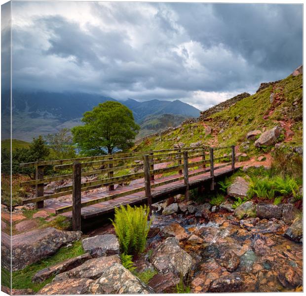 Scale Beck Bridge Canvas Print by Craig Breakey