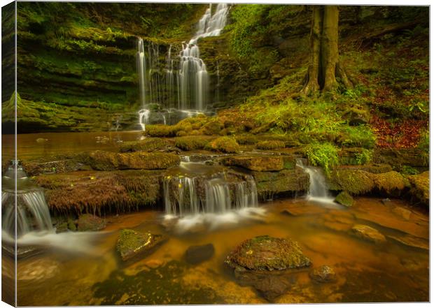 Scalebor Force Waterfall Canvas Print by Craig Breakey