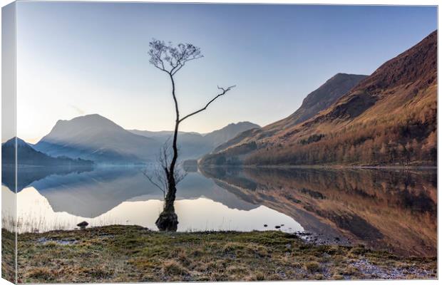 The Lone Tree Buttemere Canvas Print by James Marsden