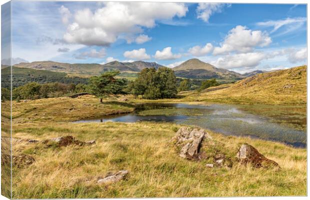 Majestic Kelly Tarn Canvas Print by James Marsden