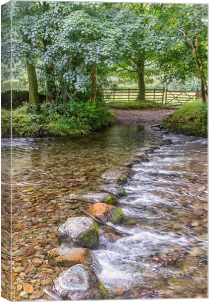 Stepping Stones  Canvas Print by James Marsden