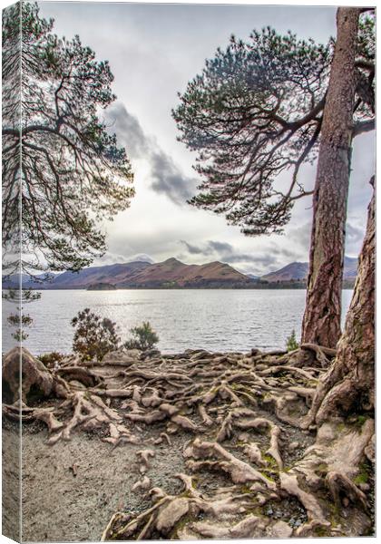 what a viewpoint Canvas Print by James Marsden