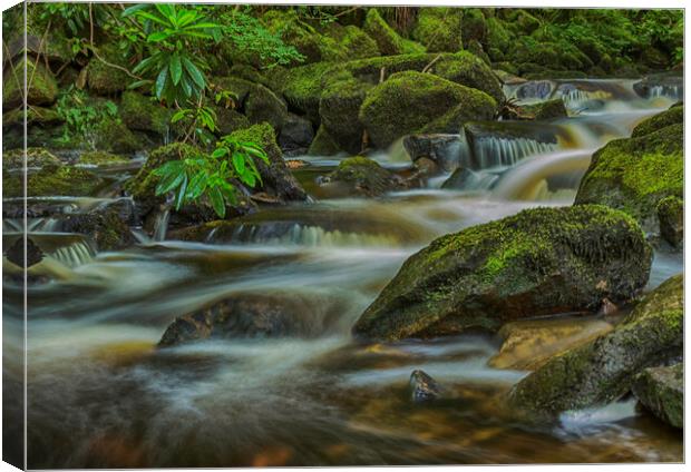 Dalgarth Waterfall Canvas Print by James Marsden