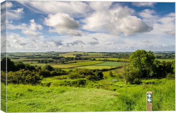Lincolnshire Wolds Canvas Print by Gill Kennett