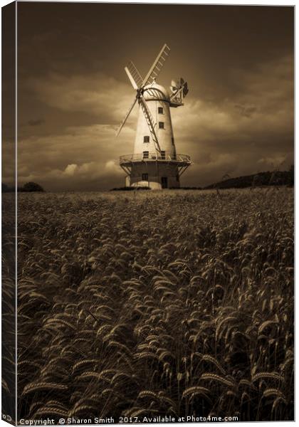 Llancayo Windmill Canvas Print by Sharon Smith
