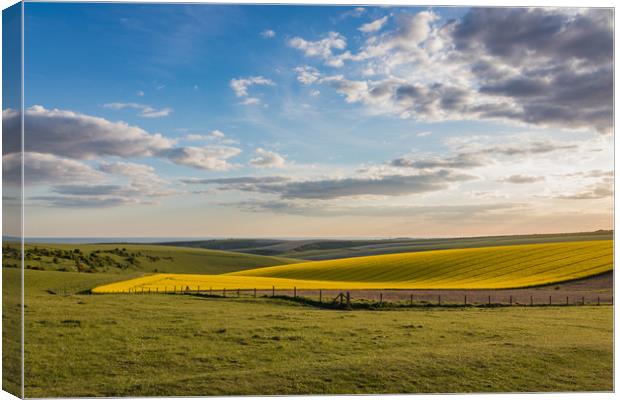 Blue Skies over rolling Sussex countryside Canvas Print by Nigel Smith