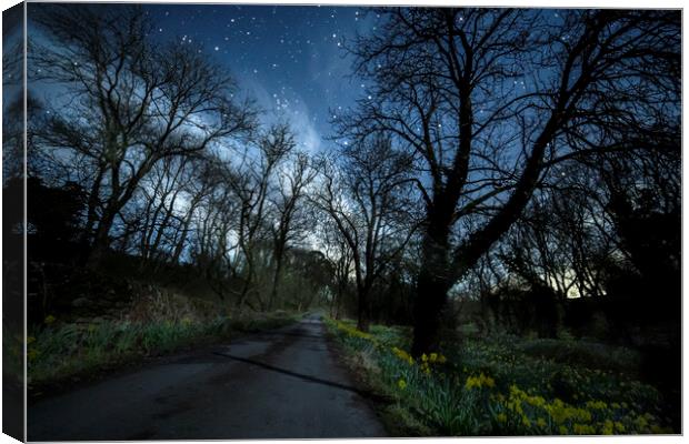 Moonlit daffodils and stars, Ingleton Canvas Print by Pete Collins