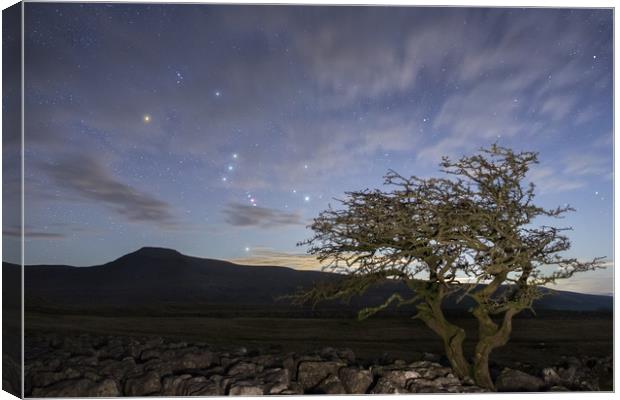 Orion rising over Ingleborough Canvas Print by Pete Collins