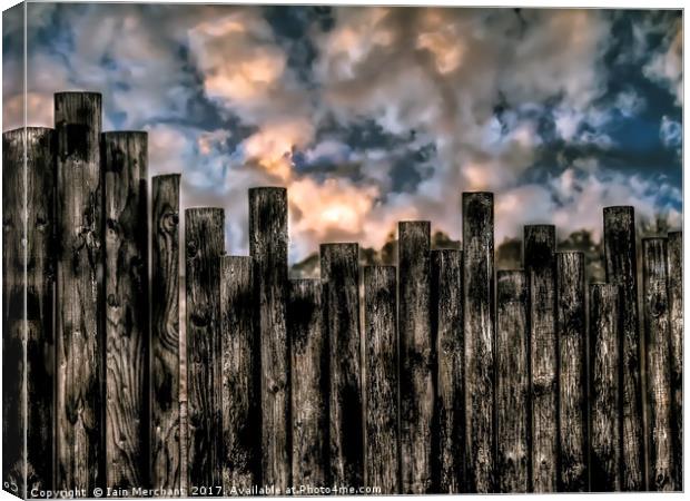 Fenced In Canvas Print by Iain Merchant