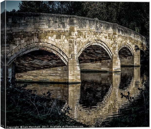 Reflecting Echoes Canvas Print by Iain Merchant