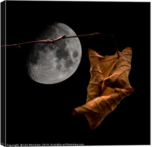 Autumn Moon Canvas Print by Iain Merchant