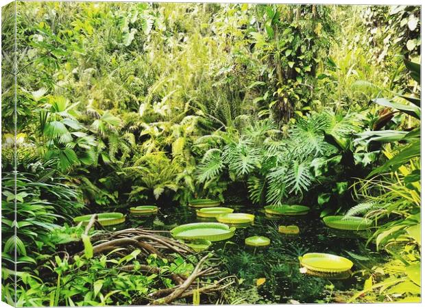 Lilypads Canvas Print by Becca Wilkinson