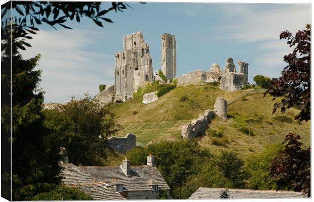 A postcard view of Corfe Castle Canvas Print by Simon J Beer