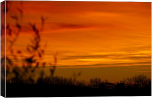Winters Sunset Canvas Print by Simon J Beer