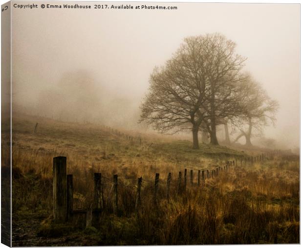 Misty Trees Canvas Print by Emma Woodhouse