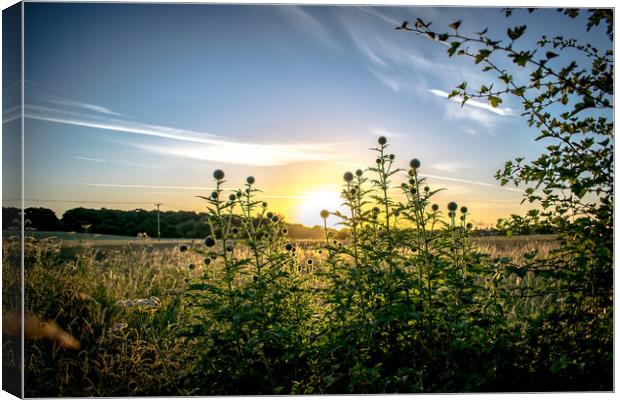 norfolk sunrise  Canvas Print by james dorrington