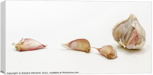 Garlic Canvas Print by Edward Kilmartin
