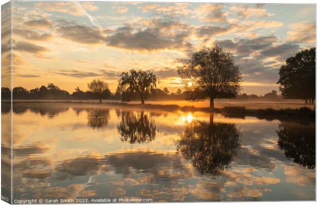 Golden Sunrise at the pond Canvas Print by Sarah Smith