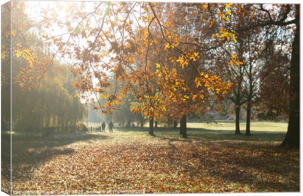 Autumn in Manor Park, Aldershot Canvas Print by Sarah Smith