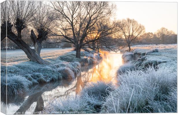 Frosty Sunrise at Beverley Brook Canvas Print by Sarah Smith