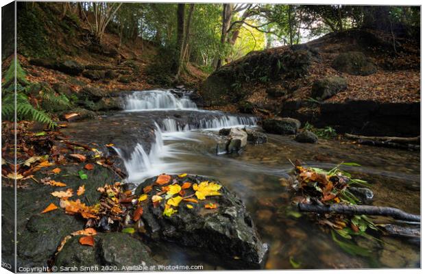 Woodland waterfall in autumn Canvas Print by Sarah Smith