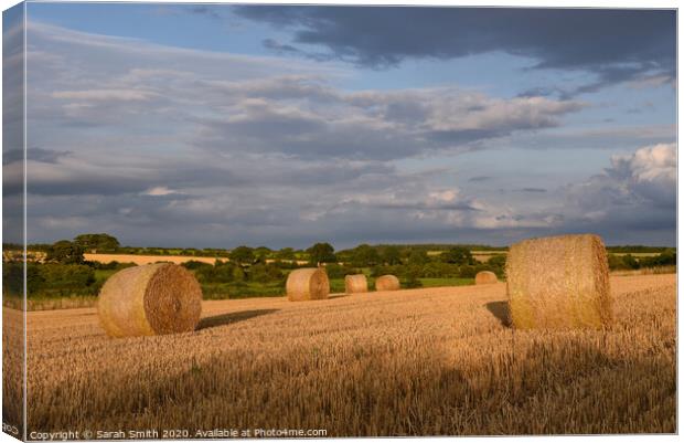 Straw bales in field late afternoon Canvas Print by Sarah Smith