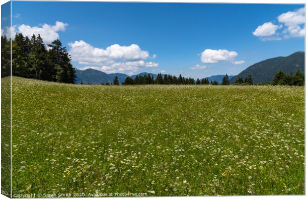 Eckbauer Alm Garmisch-Partenkirchen Canvas Print by Sarah Smith